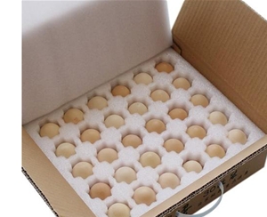 阜阳阜阳珍珠棉蛋托